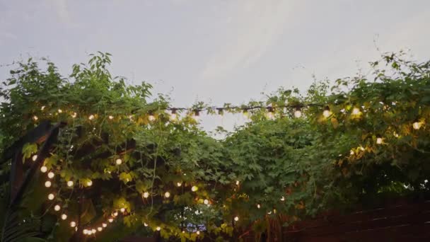 Summer party. The lamps hang in the foliage. Celebration on the patio. Festival, garlands — Stock Video