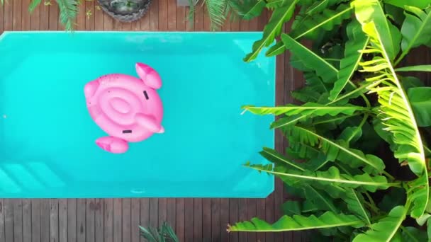 Aerial view of the pool with flamingo mattress. Summer, vacation in the tropics. Luxury holiday in a villa with palm trees — Stock Video
