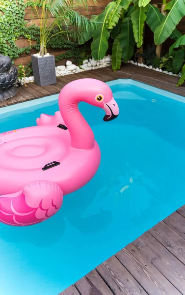 Havuzda şişme bir flamingo yüzüyor. Lüks bir tatil.