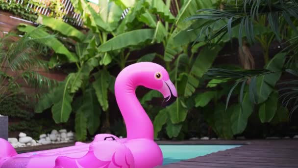 Un flotteur gonflable flamant rose nage dans la piscine. Vacances de luxe — Video