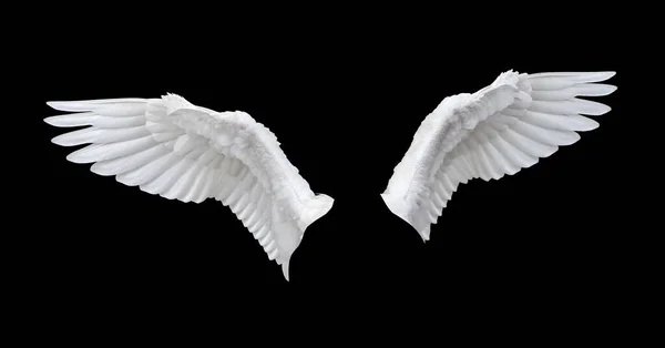 Ön tarafta siyah arka planda izole edilmiş beyaz çocuk kanadı var.