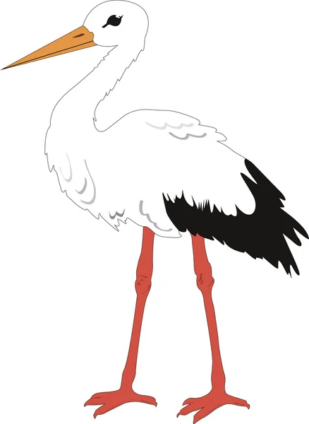 The Stork Bird — Stock Vector