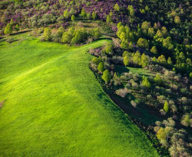 Alanları ve ormanları
