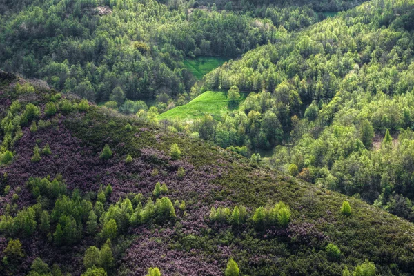 Die berge von courel, serra do oribio — Stockfoto