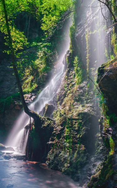 Vodopád a strom, zelené světlo, — Stock fotografie