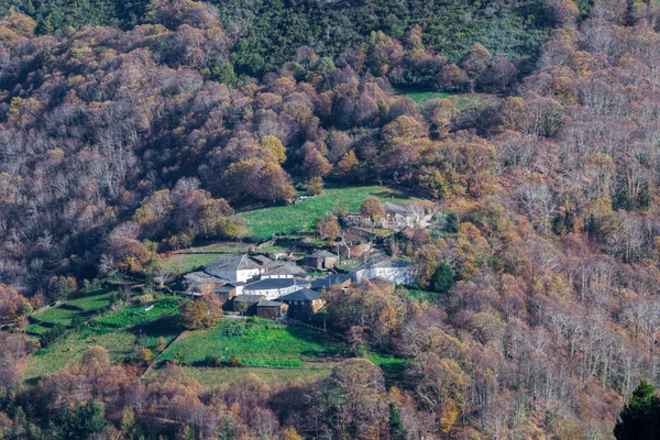 Pueblo en el bosque — Foto de Stock