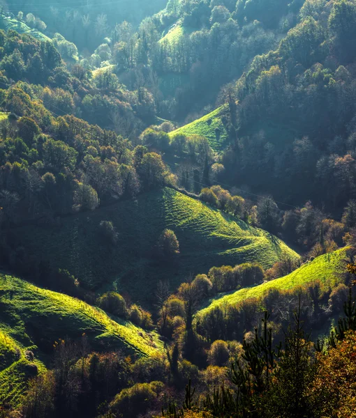 Tidiga ljus i dalen — Stockfoto