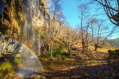 Rainbow waterfall in the winter forest clipart