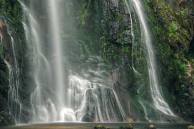 şelale ve yosunlu rock görünümünü kapat