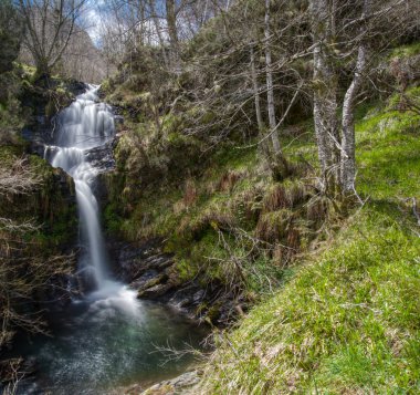 şelale ve Serra içinde ağaç Courel yapmak