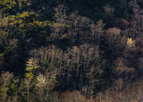 erken ilkbahar geç afternoom light.tif