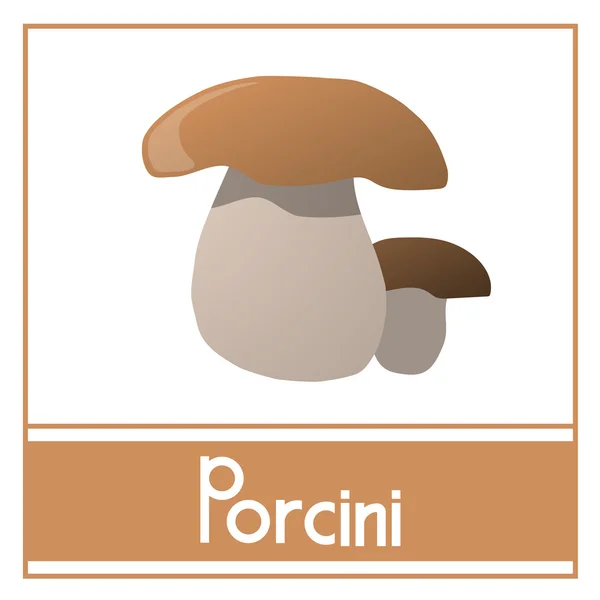 Porcini - vektör kartı