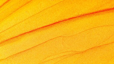 Altın soyut arka plan. Lüks, parlak, altın desenli. Noel dekorasyonu geçmişi. Altın rengi desenli. Tasarımcı için boş. Minimalizm