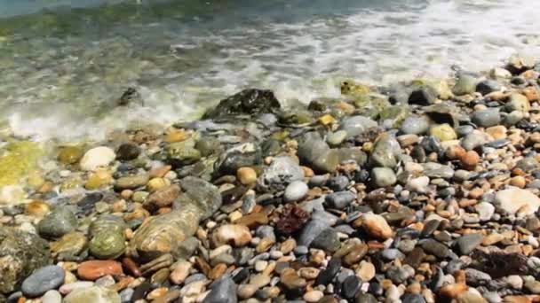 파도는 해변에 거품을 일으키며 구르고 — 비디오