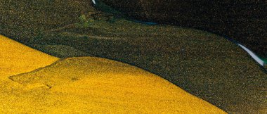 Soyut altın parıltılı doku. Koyu yeşil arka planda altın renginde bir leke. Altın ve yeşil parlayan tuval. Boşluğu kopyala