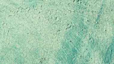 Çatlak turkuaz boya dokusu. Çatırdayan eski turkuaz boyanmış ahşap yüzey. Yeşil turkuaz boyalı çatlak duvar dokusu