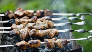 Şişte ızgara et. Doğadaki mangal üzerinde shashlik pişirmek. Metal şişte pişen ızgara kebap. Ev pikniği