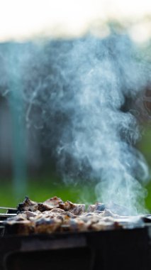 Et, mangalda şişte kızartılır. Duman içinde ızgara et. Kır evinde ızgara kebap. Boşluğu kopyala