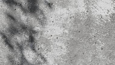Sert beton duvarın üzerinde ağaç gölgesi. Beyazlatılmış beton duvardaki ağaç dalının gölgesi. Gri beton duvar dokusu. Boşluğu kopyala