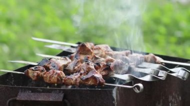 Barbekü ya da şiş kebap ızgarada kızarır. Doğadaki mangal üzerinde shashlik pişirmek. Et kebabı şişte pişirilir. Kömürden duman yükselir. Piknik konsepti