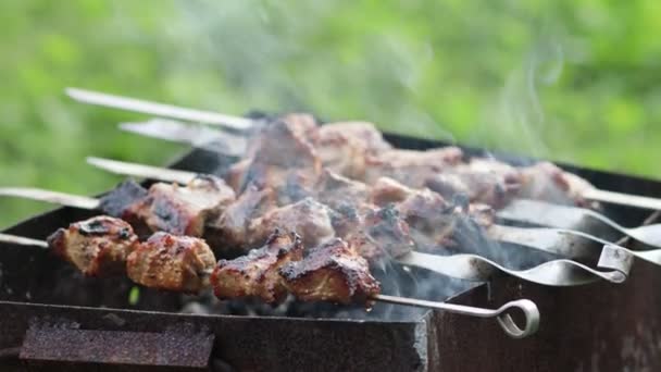 Gril Nebo Shish Kebab Smaží Grilu Vaření Shashlik Mangal Přírodě — Stock video