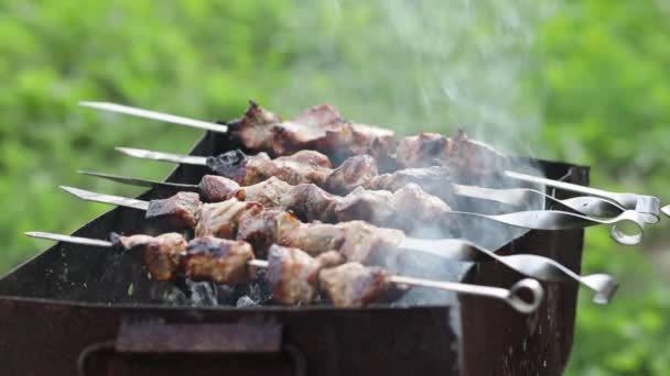 Barbacoa Shish Kebab Fríe Parrilla Cocinar Shashlik Naturaleza Mangal Kebab — Vídeo de stock