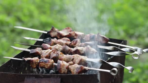 Churrasco Kebab Shish Frito Grelha Cozinhar Shashlik Mangal Natureza Kebab — Vídeo de Stock