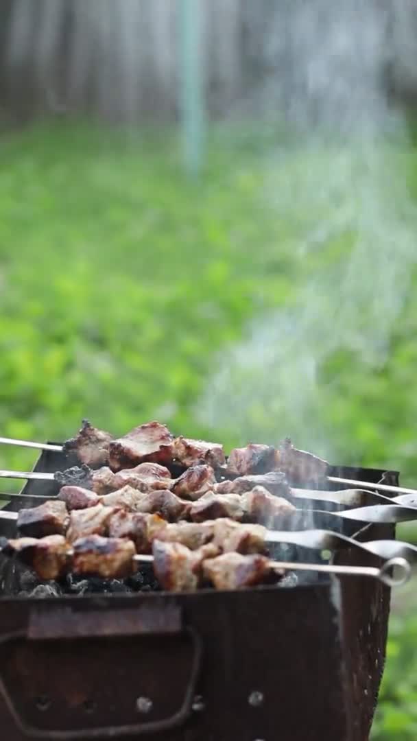 Barbekü Şiş Kebap Izgarada Kızarır Doğadaki Mangal Üzerinde Shashlik Pişirmek — Stok video