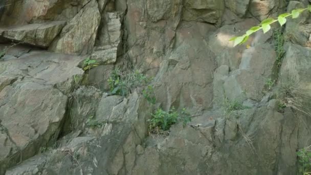 Stevige Rock Close Structuur Textuur Van Stenen Rots Natuursteen — Stockvideo