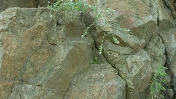 Stevige Rock Close Structuur Textuur Van Stenen Rots Natuursteen — Stockvideo