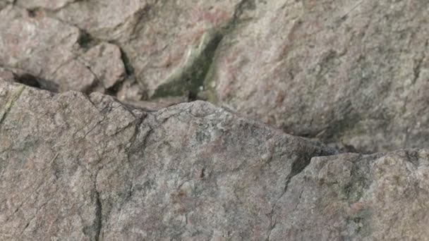 Primer Plano Roca Sólida Estructura Textura Roca Piedra Piedra Natural — Vídeo de stock