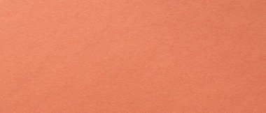 Doğal Fibröz Tasarımlı Minimal Coral Cardstock Arkaplanı