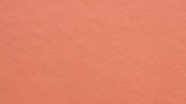 Doğal Fibröz Tasarımlı Minimal Coral Cardstock Arkaplanı