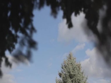 bulutlar hızla gökyüzüne uçmak