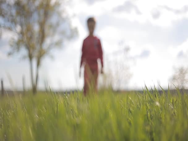 Fille marche dans les prairies — Video