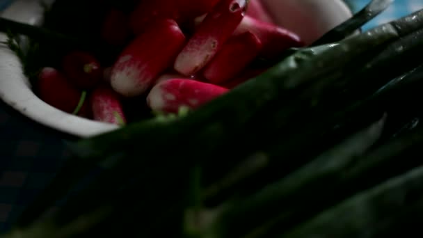 Fresh vegetables straight from the garden — Stock Video