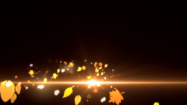 coeurs animés pour l'installation 