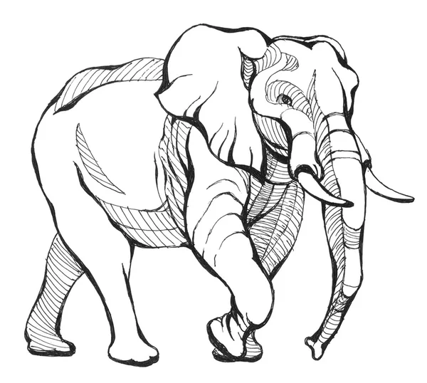 大象亚洲手的素描画 — 图库照片