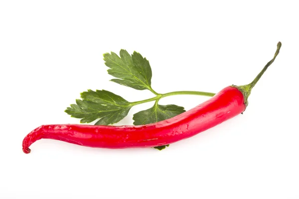 Belg med rød pepper – stockfoto