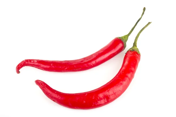 Belg med rød pepper – stockfoto