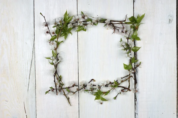 çerçeve çiçek beyaz tahtalar üzerinde