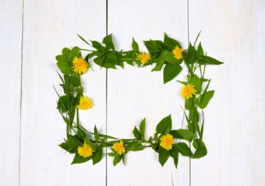 karahindiba çerçeve çiçek