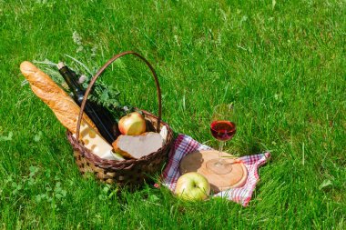 bir kadeh şarap ile piknik için gıda sepeti