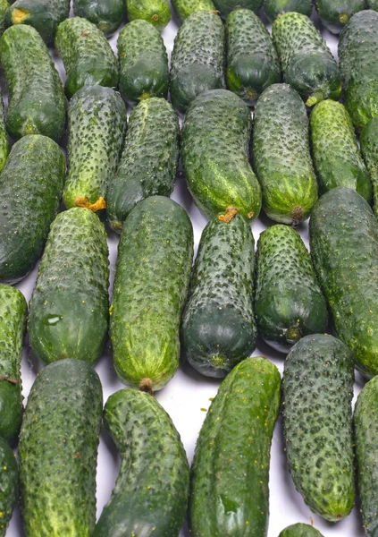 Bunch of cucumbers — Stock Photo, Image