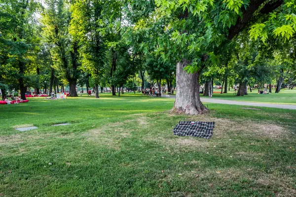 Parkta piknik. — Stok fotoğraf