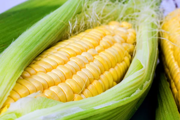 Des Mais aus nächster Nähe — Stockfoto