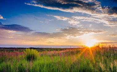 Günbatımında bir çayır çimen
