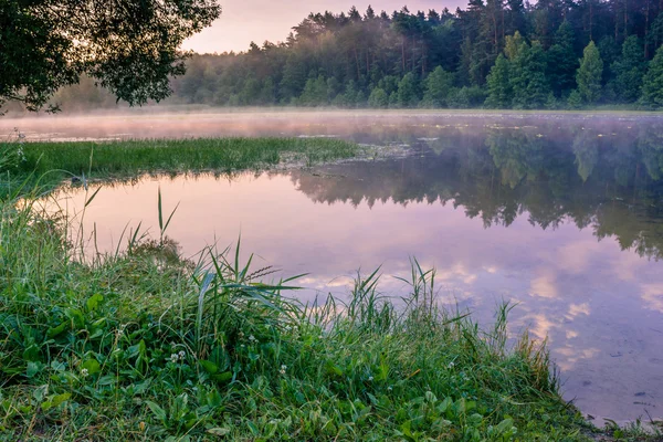 Nebel auf dem See — Stockfoto