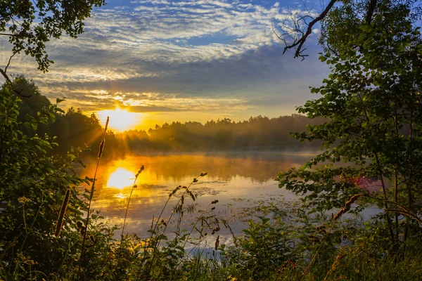 Morgendämmerung auf dem See — Stockfoto