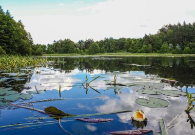 gökyüzünün canlı yansıma